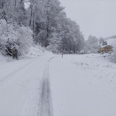 Zelena Oaza Panzió Zgornja Kungota Kültér fotó